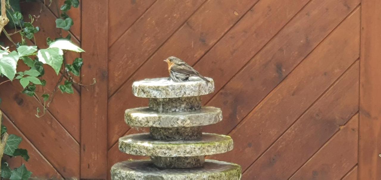 Appartamento Moin, Moin & Ahoi! Kiel Esterno foto
