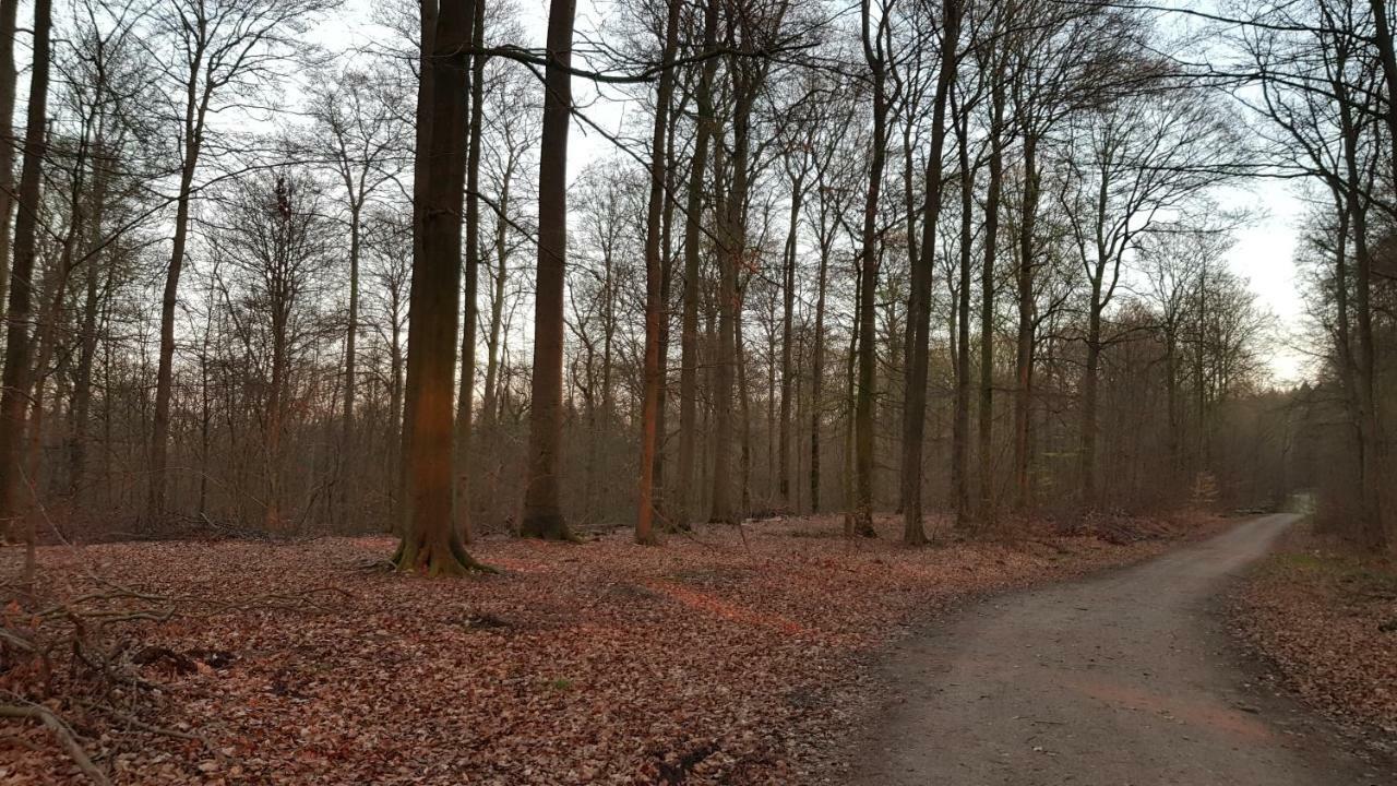 Appartamento Moin, Moin & Ahoi! Kiel Esterno foto
